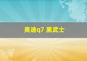 奥迪q7 黑武士